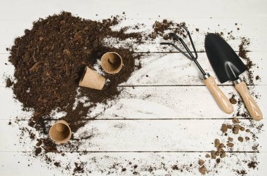 Beyaz ahşap plakalar arka plan üzerinde Araçlar üstten görünüm Bahçe