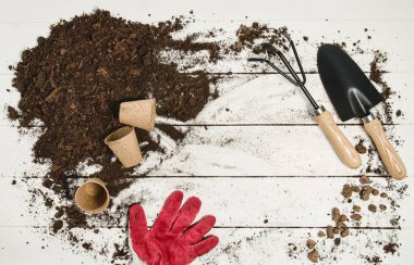 Beyaz ahşap plakalar arka plan üzerinde Araçlar üstten görünüm Bahçe