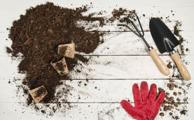 Beyaz ahşap plakalar arka plan üzerinde Araçlar üstten görünüm Bahçe