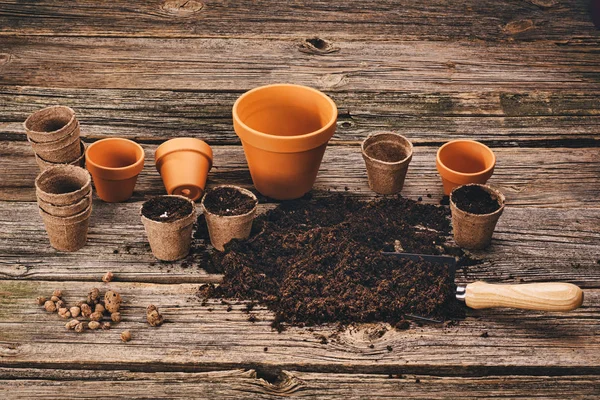 Plantar una planta en maceta sobre fondo de madera natural en el jardín — Foto de Stock