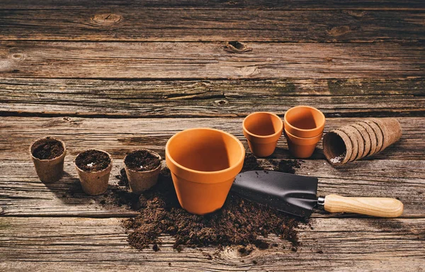 Plantar una planta en maceta sobre fondo de madera natural en el jardín — Foto de Stock