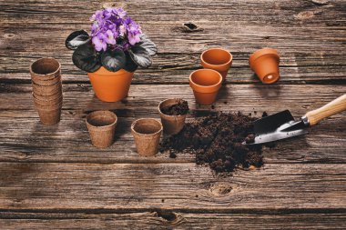 Doğal ahşap arka plan Bahçe saksı bitki dikimi