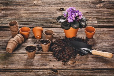 Doğal ahşap arka plan Bahçe saksı bitki dikimi