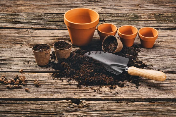 Plantar uma planta em vaso no fundo de madeira natural no jardim — Fotografia de Stock