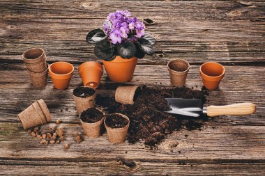 Doğal ahşap arka plan Bahçe saksı bitki dikimi