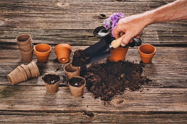 Plantar una planta en maceta sobre fondo de madera natural en el jardín — Foto de Stock