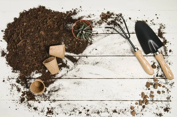 Herramientas de jardinería vista superior sobre fondo de tablones de madera blanca — Foto de Stock