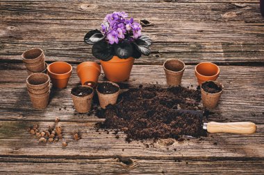 Doğal ahşap arka plan Bahçe saksı bitki dikimi