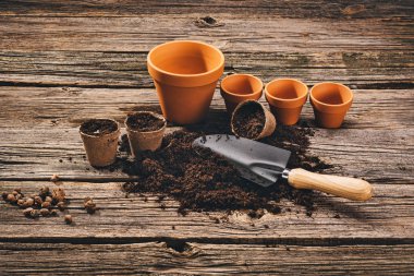 Doğal ahşap arka plan Bahçe saksı bitki dikimi