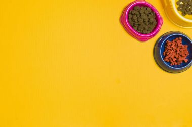 Görünümü top köpek maması ve Sarı zemin üzerine aksesuarlar
