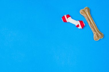 Top köpek maması ve aksesuarları üzerinde mavi arka plan görünümü