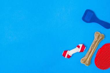 Top köpek maması ve aksesuarları üzerinde mavi arka plan görünümü