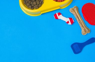 Top köpek maması ve aksesuarları üzerinde mavi arka plan görünümü