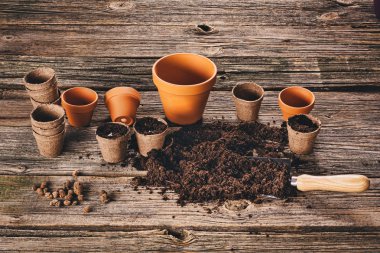 Doğal ahşap arka plan Bahçe saksı bitki dikimi