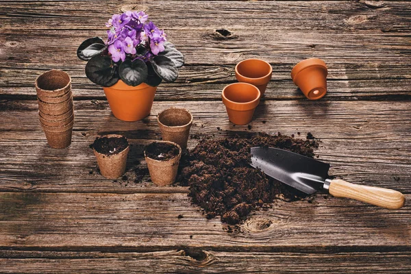 Plantar uma planta em vaso no fundo de madeira natural no jardim — Fotografia de Stock