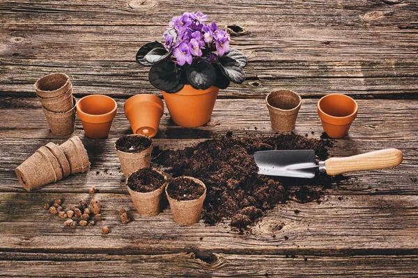 Plantation d'une plante en pot sur fond de bois naturel dans le jardin — Photo