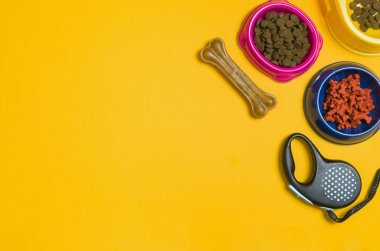 Görünümü top köpek maması ve Sarı zemin üzerine aksesuarlar