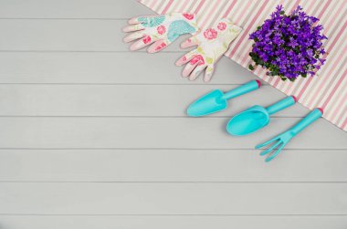 Bahçecilik aletleri üzerinde gri ahşap masa arka plan Üstten Görünüm