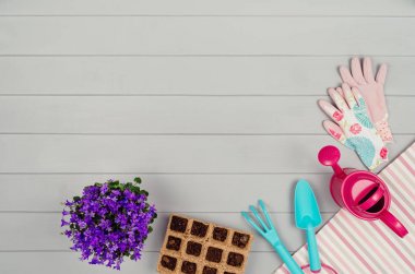 Bahçecilik aletleri üzerinde gri ahşap masa arka plan Üstten Görünüm