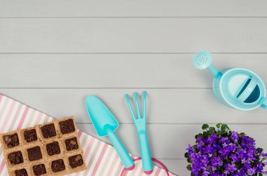 Bahçecilik aletleri üzerinde gri ahşap masa arka plan Üstten Görünüm