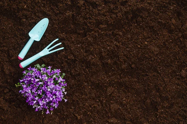 Kerti szerszámok, a kerti talaj textúra háttér felülnézet — Stock Fotó