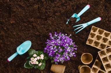 Bahçe Bahçe toprak doku arka plan üstten görünüm araçları
