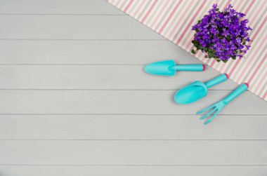 Bahçecilik aletleri üzerinde gri ahşap masa arka plan Üstten Görünüm