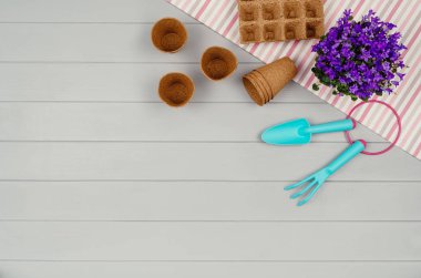 Bahçecilik aletleri üzerinde gri ahşap masa arka plan Üstten Görünüm