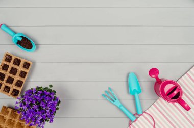 Bahçecilik aletleri üzerinde gri ahşap masa arka plan Üstten Görünüm