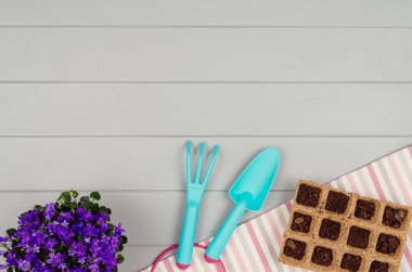 Bahçecilik aletleri üzerinde gri ahşap masa arka plan Üstten Görünüm