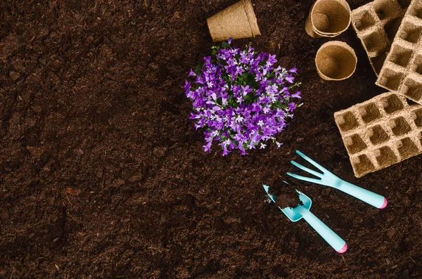 Gardening tools op tuingrond textuur achtergrond bovenaanzicht — Stockfoto