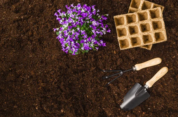 Gardening tools op tuingrond textuur achtergrond bovenaanzicht — Stockfoto