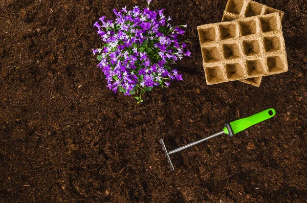 Gardening tools op tuingrond textuur achtergrond bovenaanzicht — Stockfoto