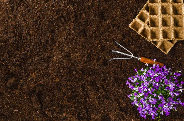 Ferramentas de jardinagem no jardim textura do solo fundo vista superior — Fotografia de Stock