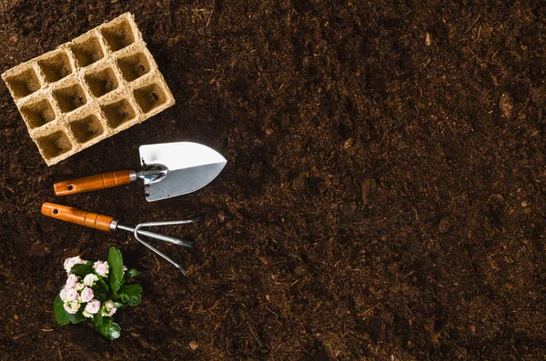 Gardening tools op tuingrond textuur achtergrond bovenaanzicht — Stockfoto