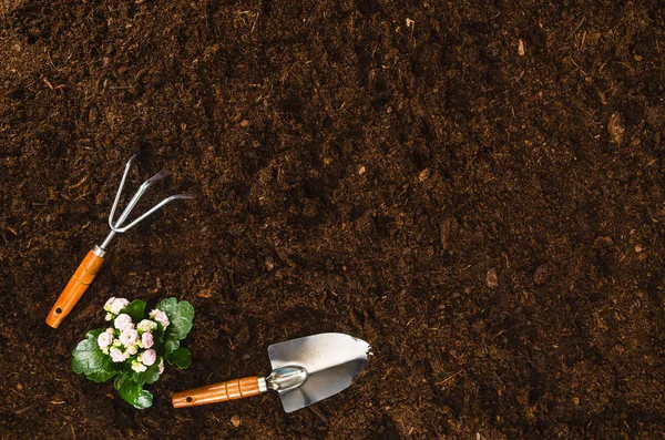 Herramientas de jardinería en el jardín textura del suelo fondo vista superior — Foto de Stock