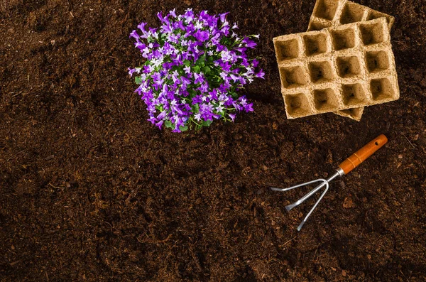 Strumenti di giardinaggio su giardino texture sfondo vista dall'alto — Foto Stock