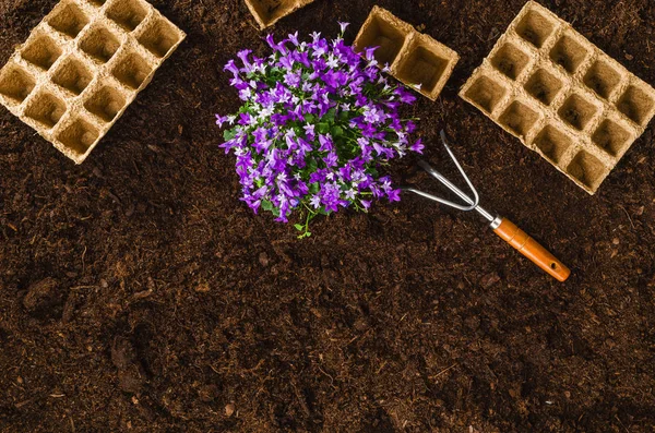 Gardening tools op tuingrond textuur achtergrond bovenaanzicht — Stockfoto