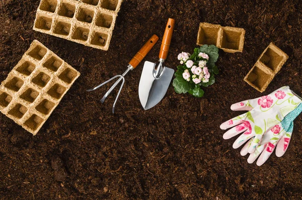 Herramientas de jardinería en el jardín textura del suelo fondo vista superior — Foto de Stock