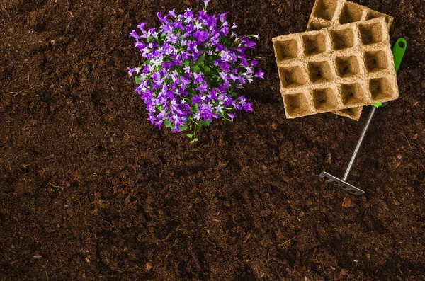 Kerti szerszámok, a kerti talaj textúra háttér felülnézet — Stock Fotó