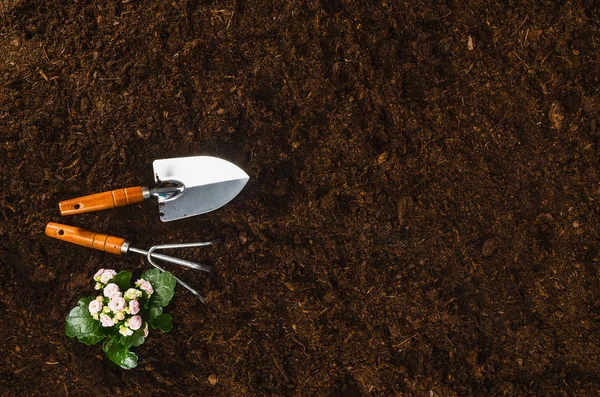 Ogrodnictwo narzędzia na ziemi ogrodowej tekstura tło widok z góry — Zdjęcie stockowe