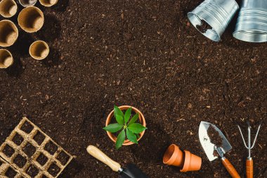 Toprak dokusu arkaplan görünümünde bahçe araçları.