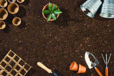 Toprak dokusu arkaplan görünümünde bahçe araçları.