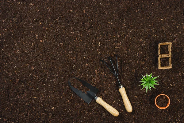 Ferramentas de jardinagem na textura do solo vista superior de fundo . — Fotografia de Stock