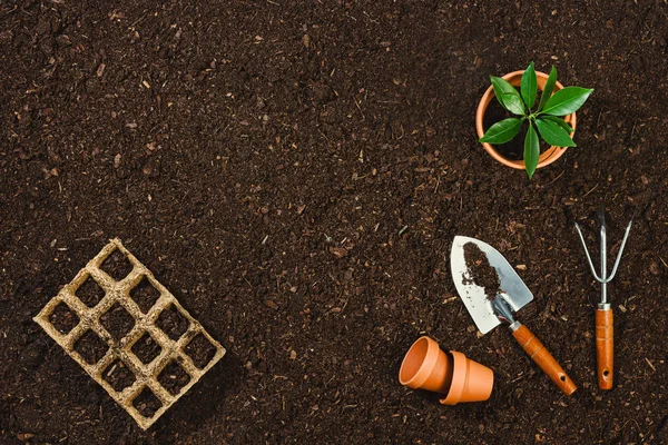 Ferramentas de jardinagem na textura do solo vista superior de fundo . — Fotografia de Stock