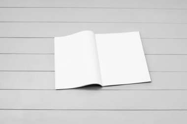 Model dergi, gazete ya da gri arkaplan kataloğu. Boş sayfa