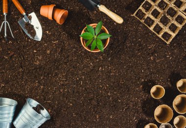 Toprak dokusu arkaplan görünümünde bahçe araçları.