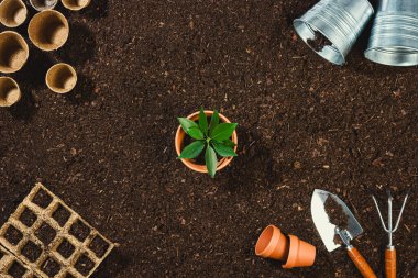 Toprak dokusu arkaplan görünümünde bahçe araçları.
