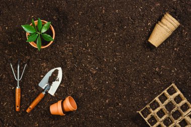 Toprak dokusu arkaplan görünümünde bahçe araçları.