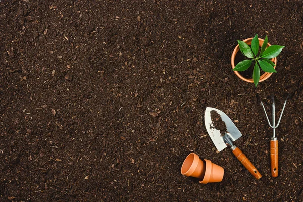 Kertészeti eszközök a talaj textúra háttér felülnézet. — Stock Fotó